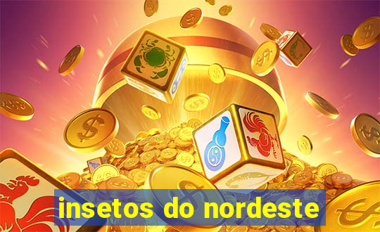 insetos do nordeste